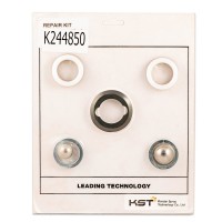 Ремкомплект для для окрасочного аппарата Dstech K254-X831 (K 244850 аналог у Graco)